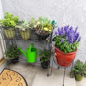 Meet your Posher, Carol